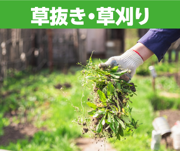 草抜き・草刈り